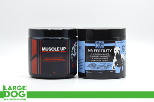 Pack Alpha [ Muscle up + Mr Fertility ]