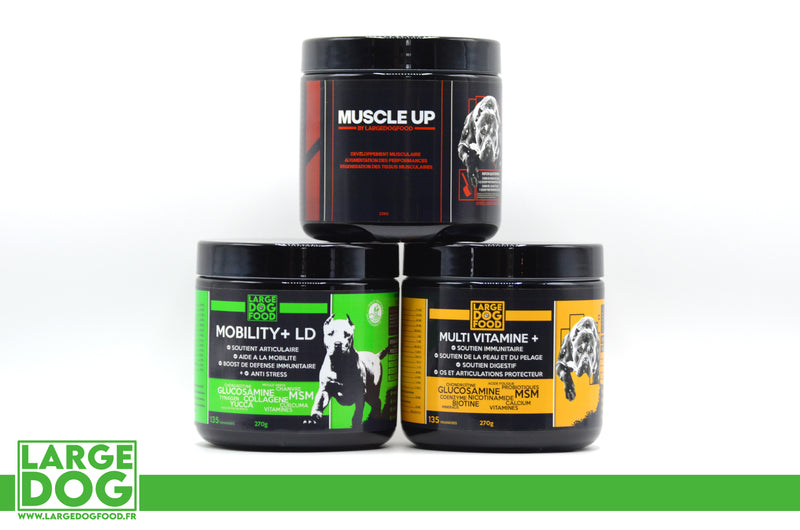 Chargez l&#39;image dans la visionneuse de la galerie, Total Pack [ Muscle Up + Mobility + Multi Vitamine + ]
